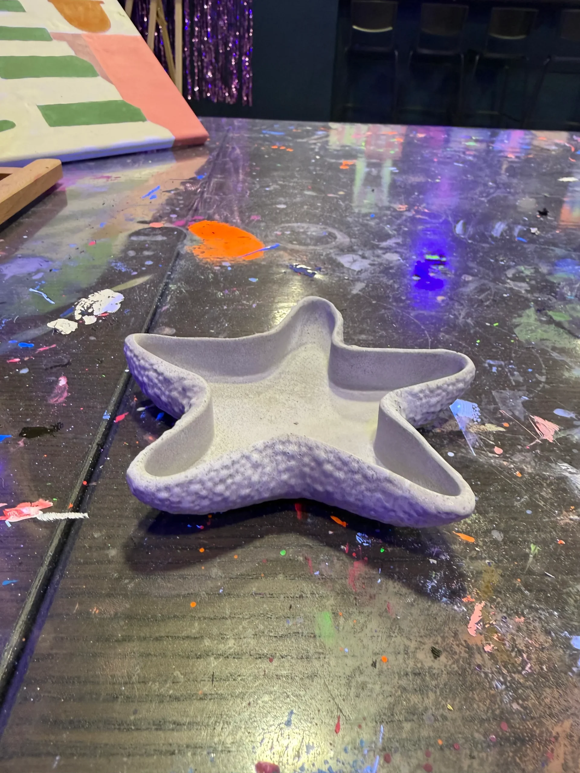 Cuenco Estrella Marina